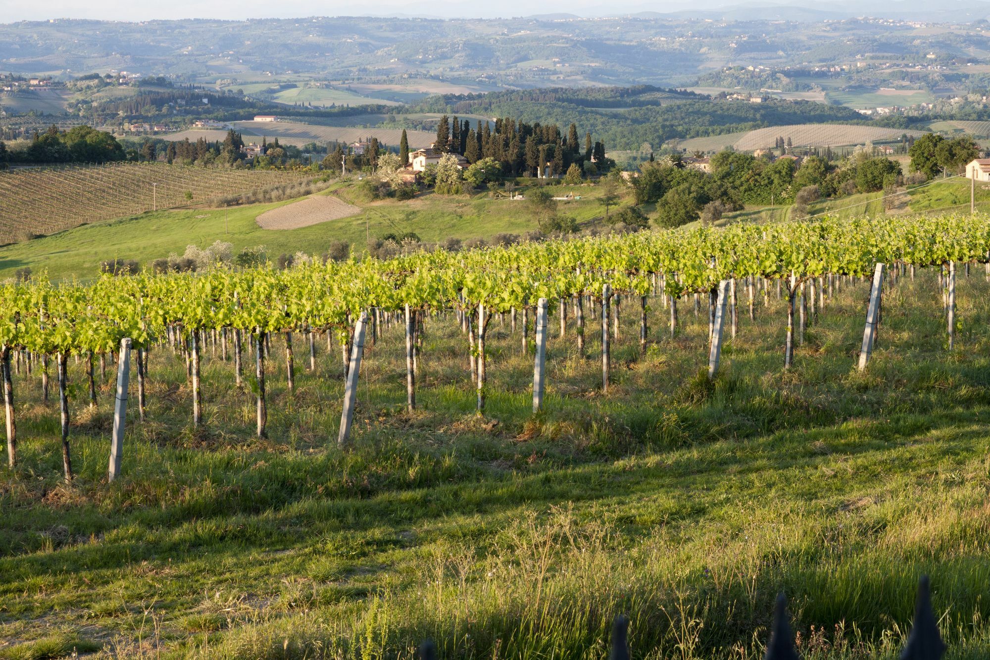 Villa Ducci San Gimignano Buitenkant foto