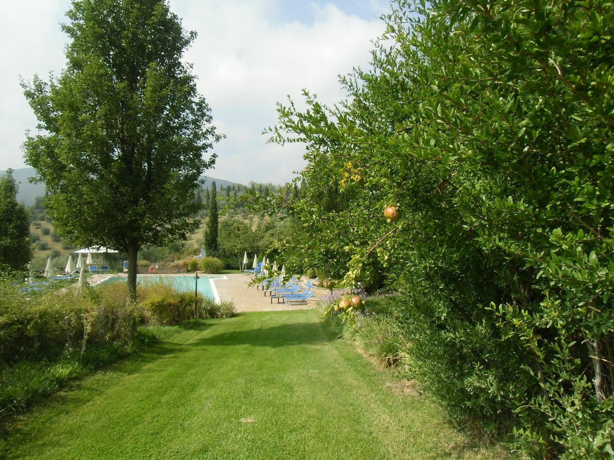 Villa Ducci San Gimignano Buitenkant foto