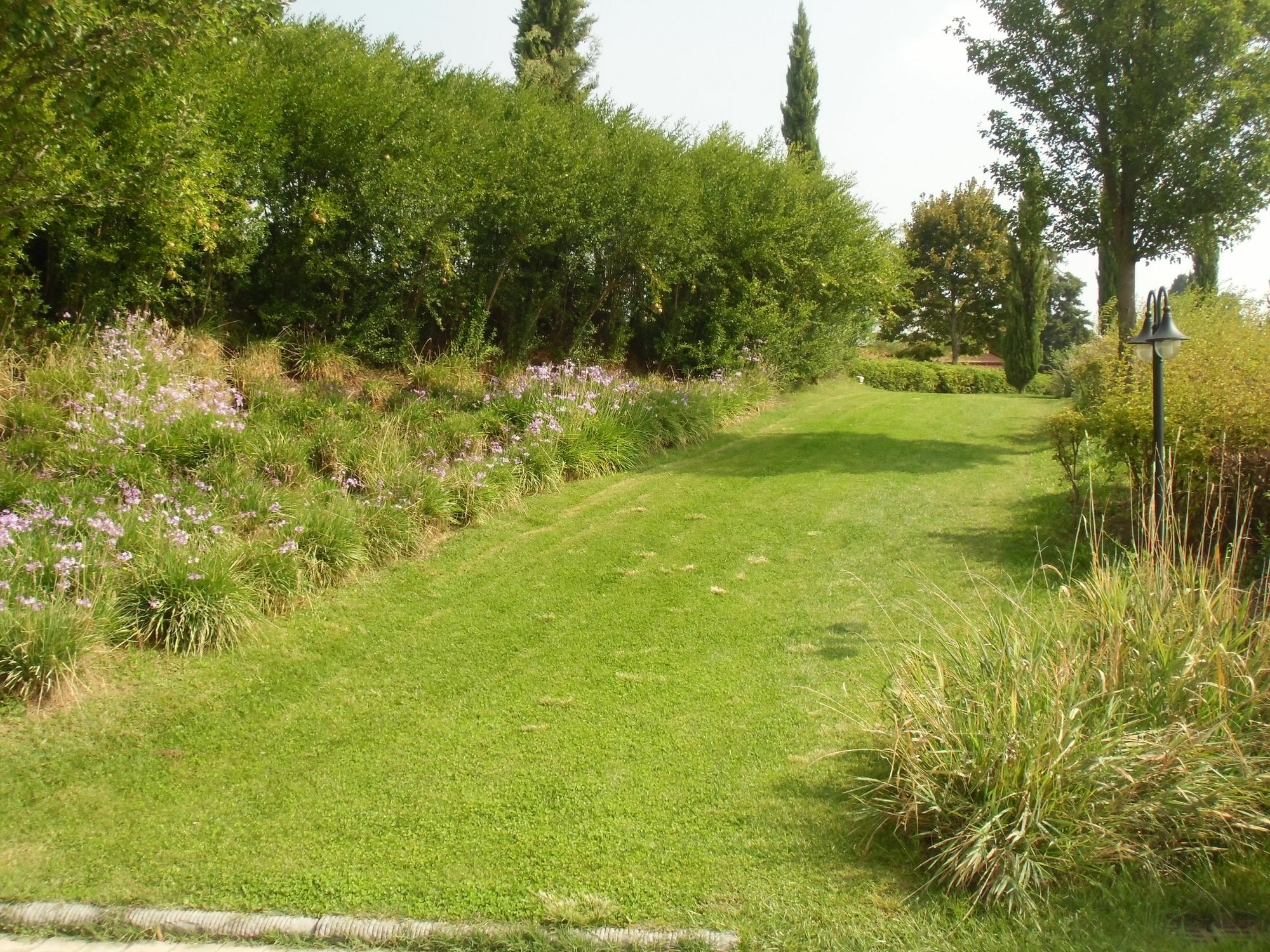 Villa Ducci San Gimignano Buitenkant foto