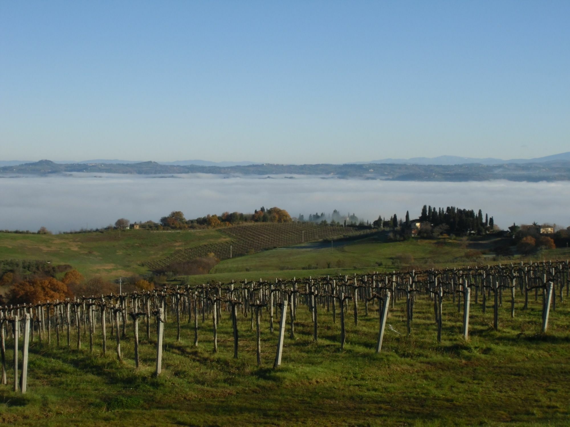 Villa Ducci San Gimignano Buitenkant foto