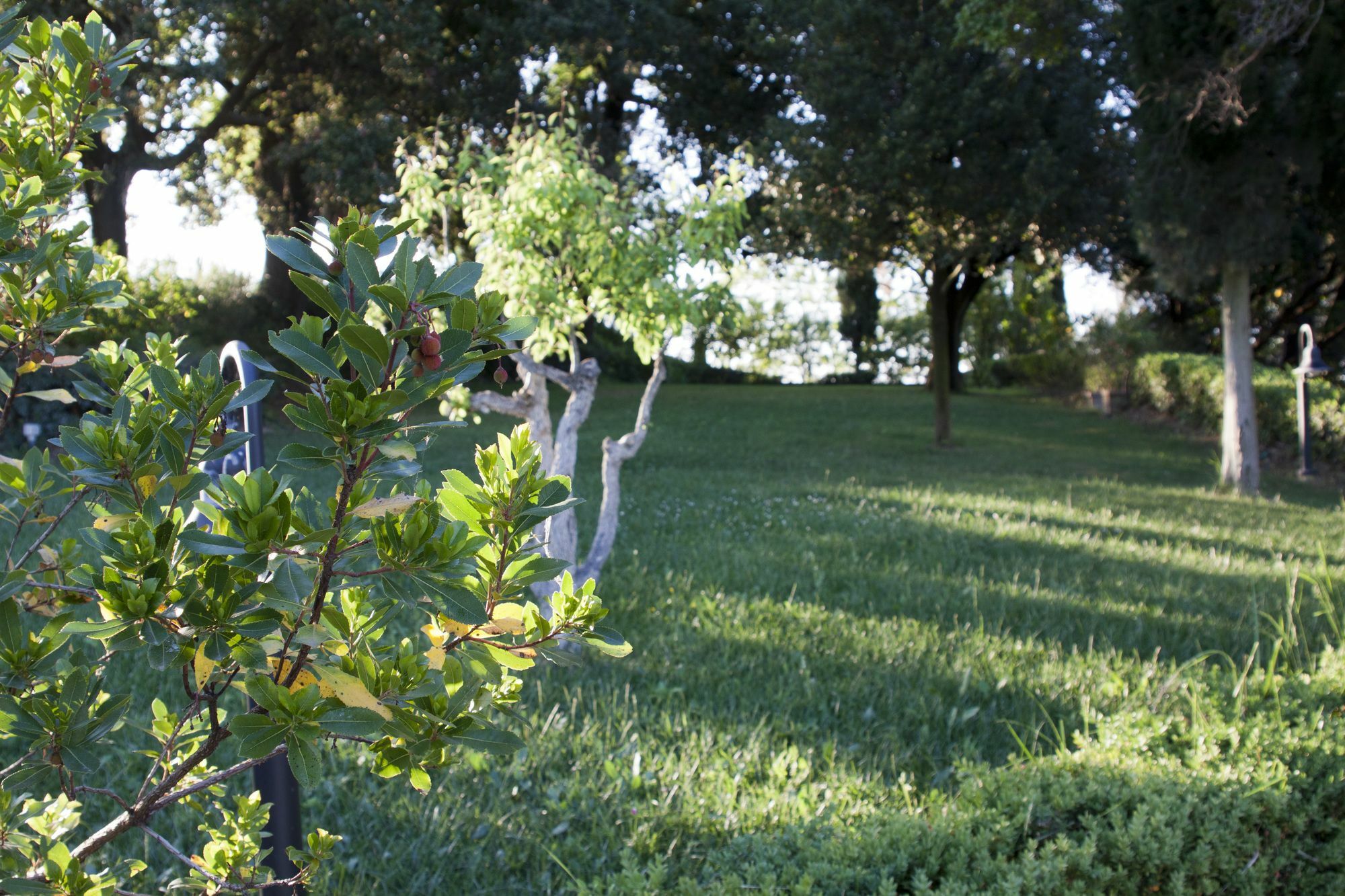 Villa Ducci San Gimignano Buitenkant foto